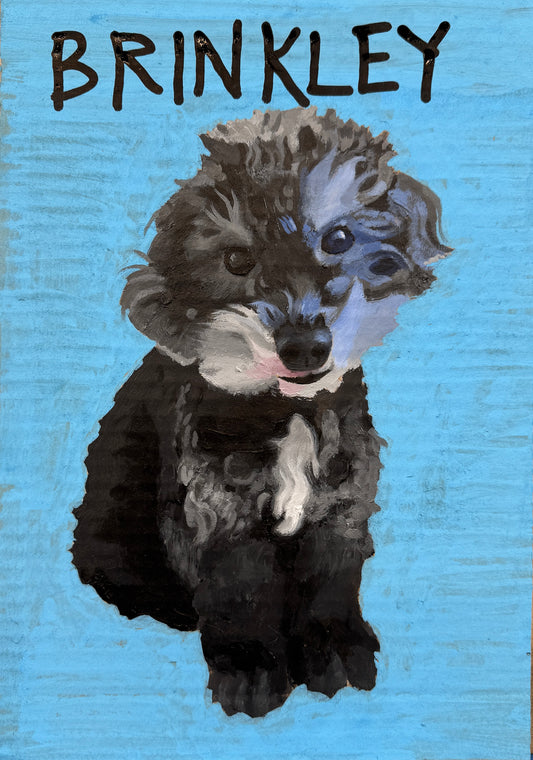 Your Pet Portrait
